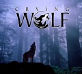 Crying Wolf csehszlovák farkaskutya kennel