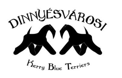 DINNYÉSVÁROSI Kerry Blue Terrier kennel