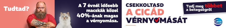 Macskák magas vérnyomása