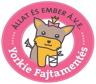 Yorkie mentés