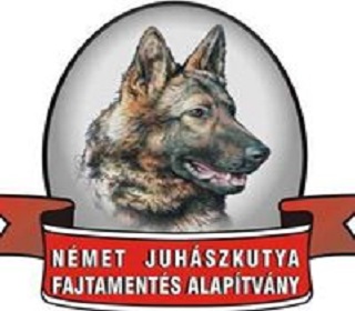 Német juhászkutya mentés