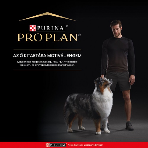 PRO PLAN