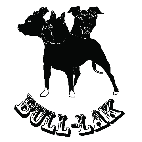 bull-lak4-kisebb.jpg