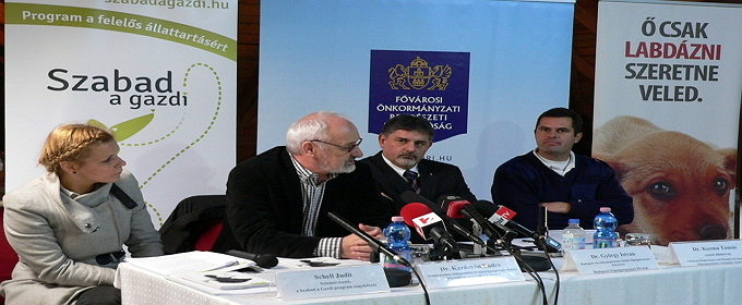 Évente 40 ezer gazdátlan kutya kerül menhelyre vagy ebrendészeti telepre – indul a Szabad a Gazdi program