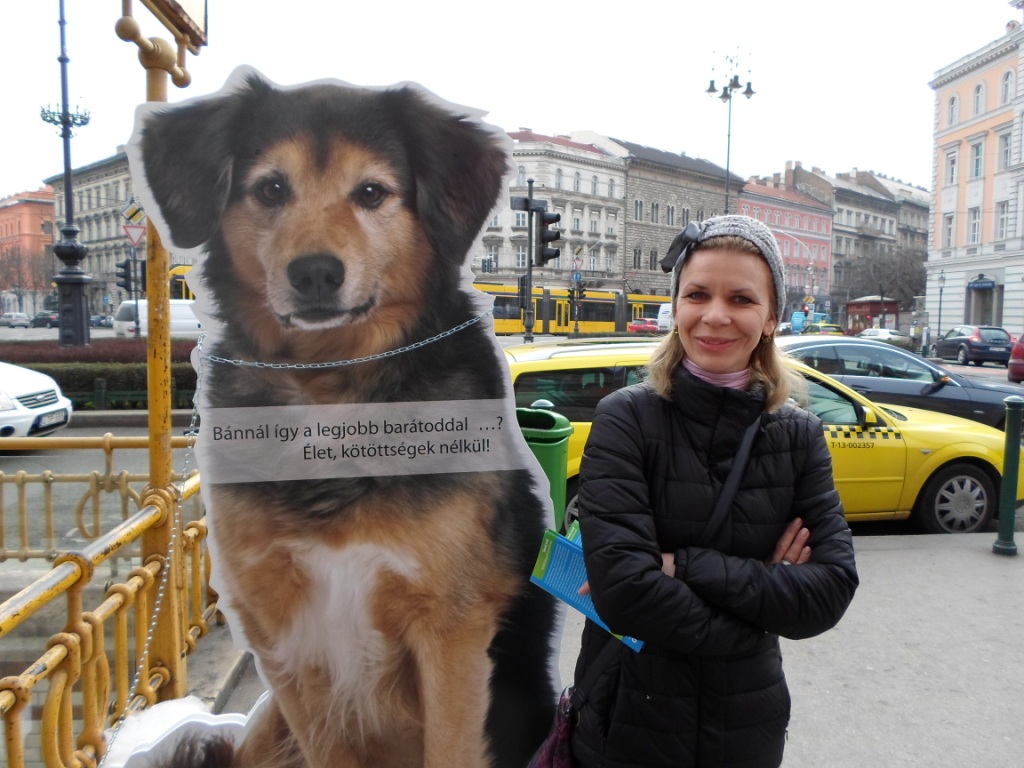 Tartanád folyamatosan kikötve legjobb barátodat?