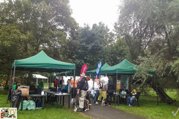 Ebugatta Piknik Gödöllő 2014. 