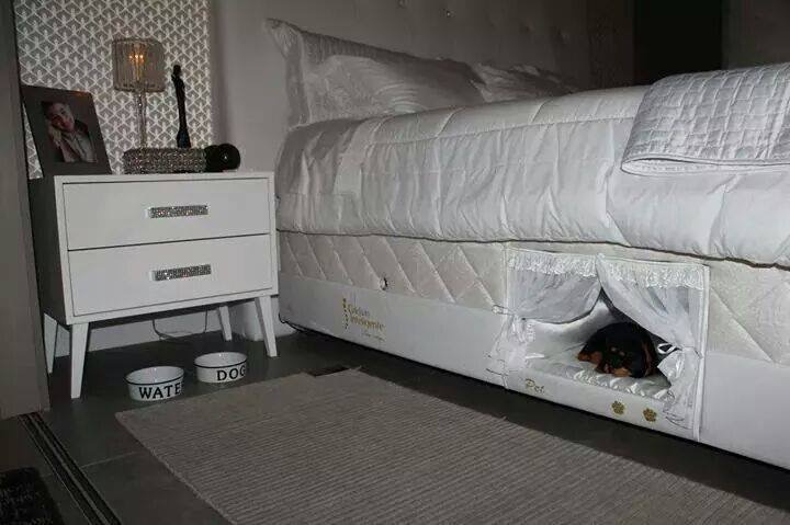 Kutya alszik az ágyamban...