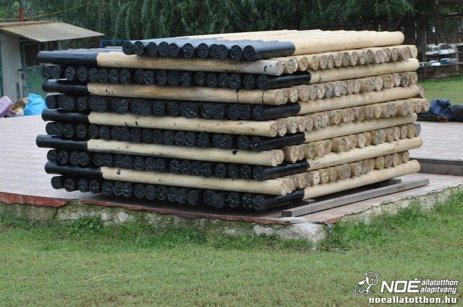 Kirabolták a Noé Állatotthont