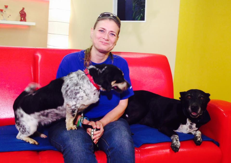 Árnyék és a piros kanapé