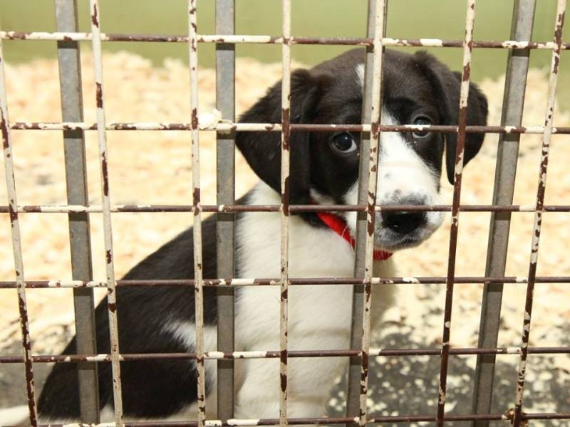 Jótékonyság az esküvőn mozgalom - Tudj meg róla többet és csatlakozz a mozgalomhoz!