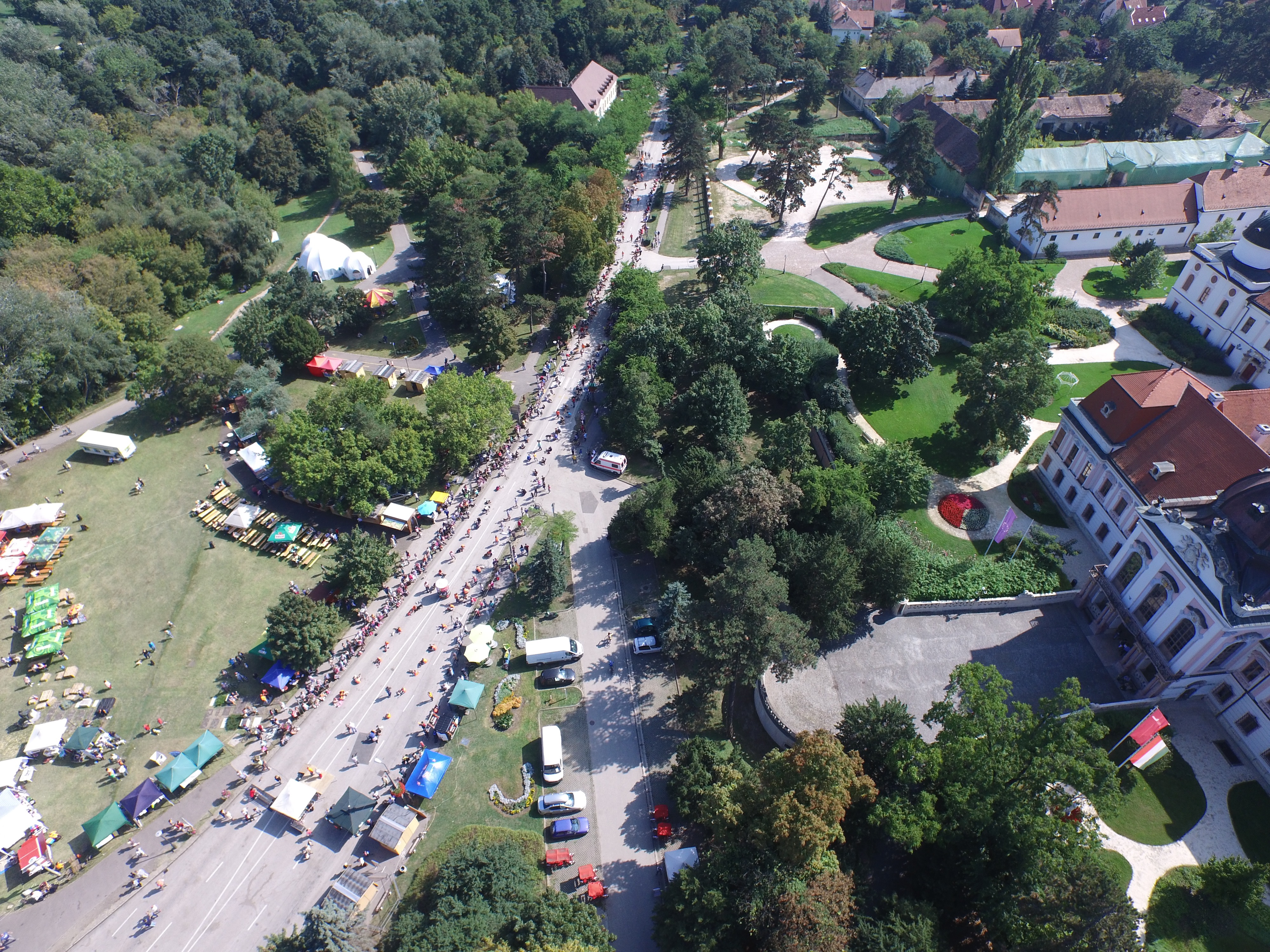  III. Ebugatta Kutya Nap Gödöllőn - PettBull rekord! Több száz fénykép és filmek! Összefoglaló!