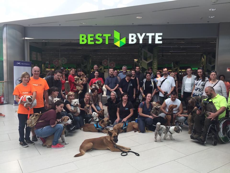 AZ ELSŐ HAZAI ÁLLATBARÁT BEVÁSÁRLÓKÖZPONT! - Kedvenceink kedvence az Allee!