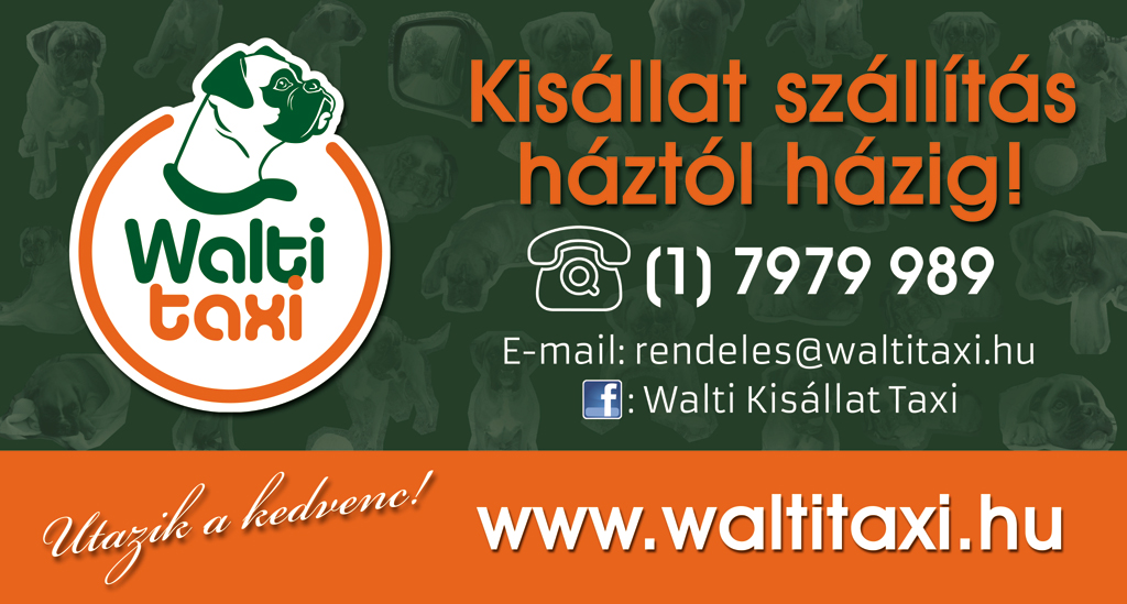 Walti