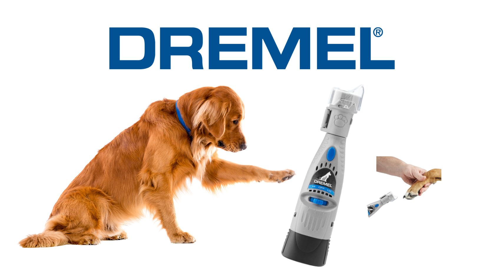 dremel_kisallat_koromreszelo2.jpg