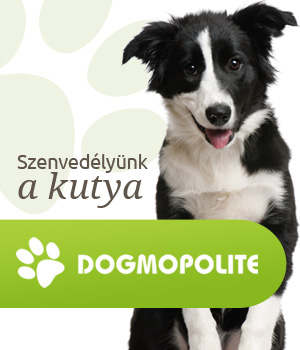 Dogmopolite Kutyauszodák