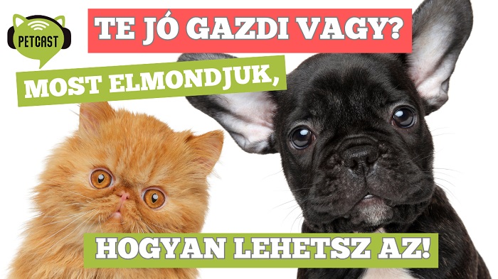 Te jó gazdi vagy? Most megtudhatod!