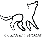 ColThem Wolfs Csehszlovák farkaskutya kennel