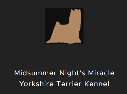 Midsummer Night\'s Miracle Yorkshire Terrier Kennel
