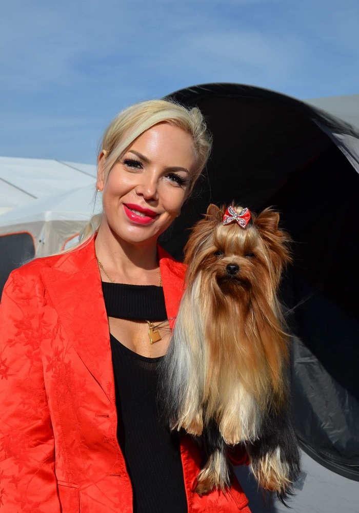 Of Little Bunny Fu Fu