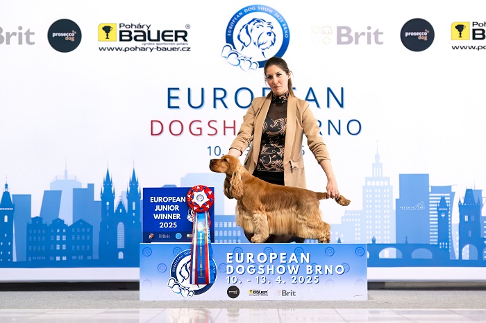 La Scale kennel angol cocker spániel