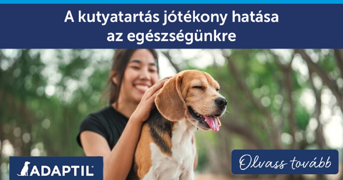 A kutyatartás jótékony hatása az egészségünkre